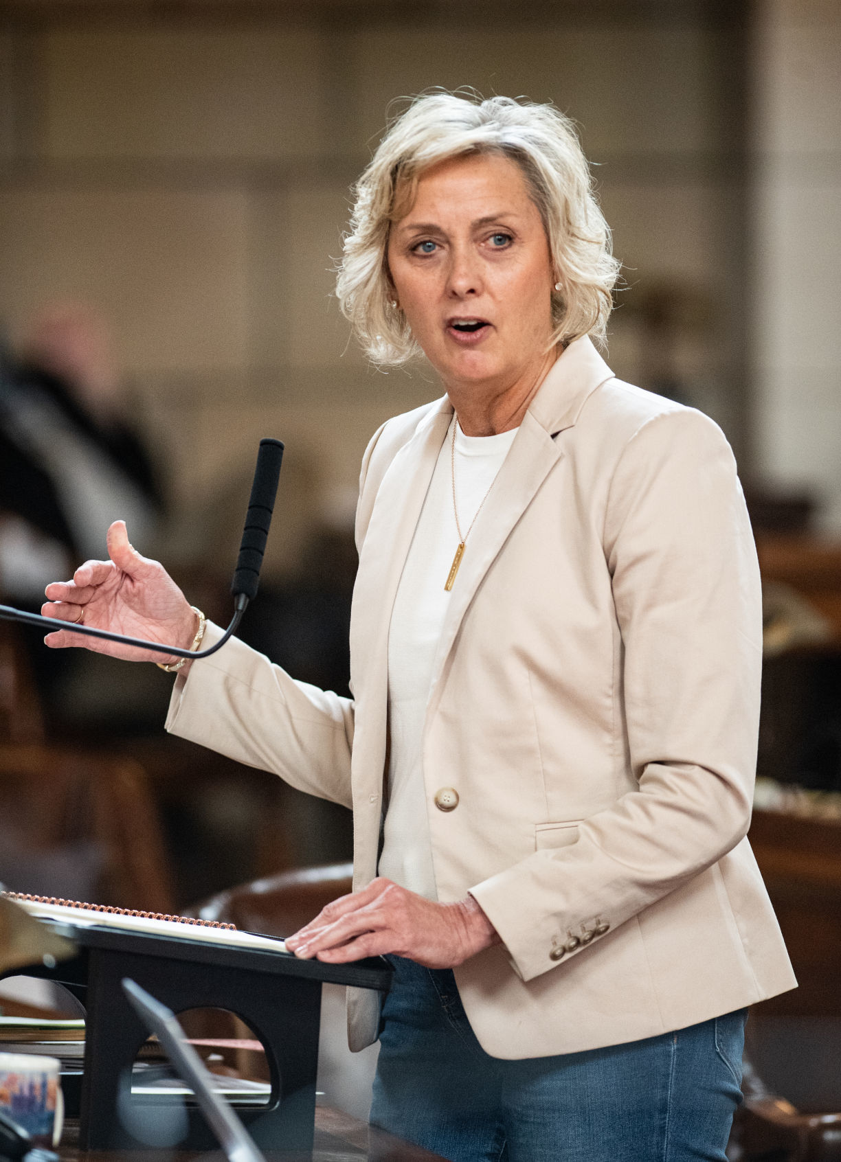 Sine die/End of session, 5.31